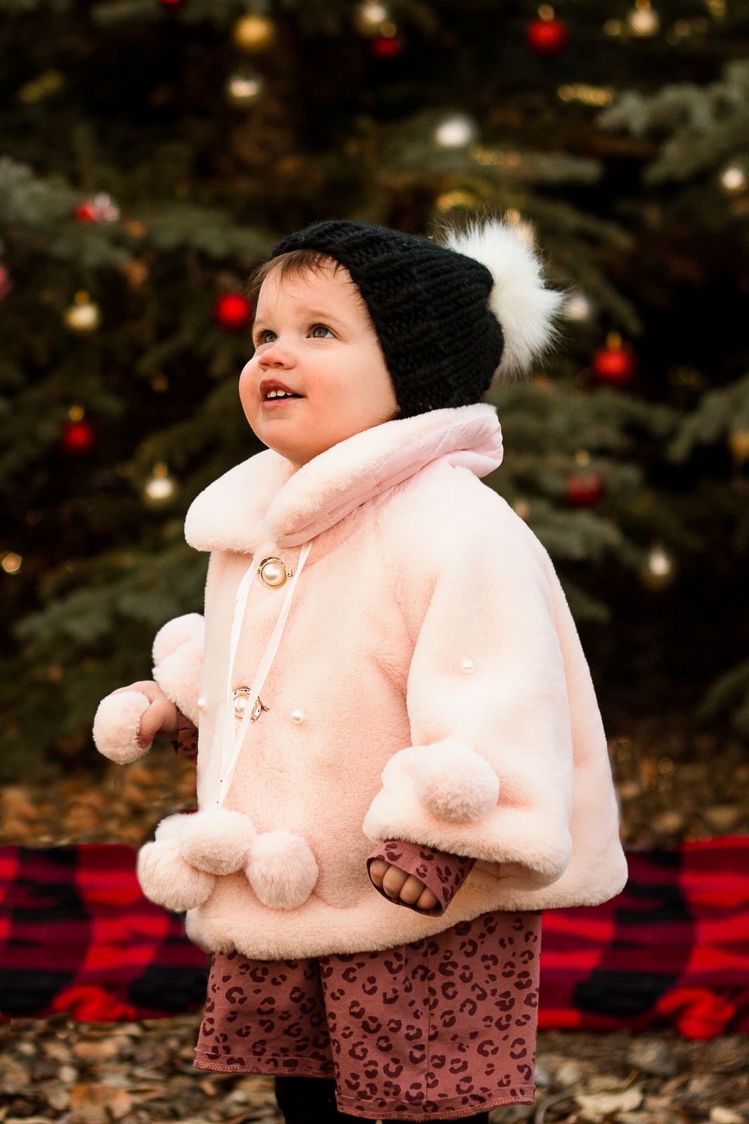 Outdoor Christmas mini sessions in Calgary for families