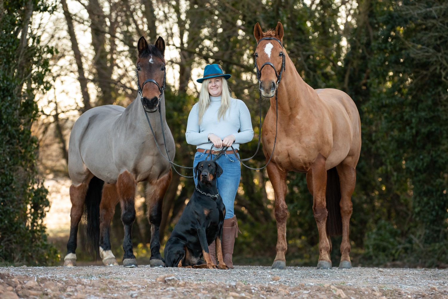 Two horses and a black dog pose together outdoors during golden hour lighting.