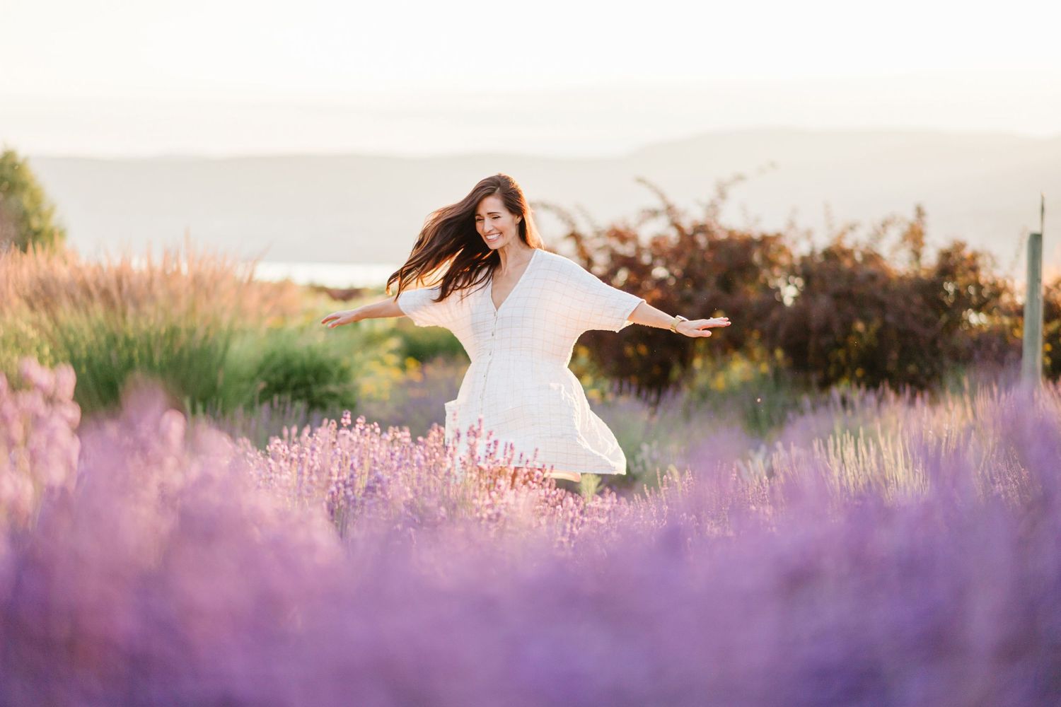 Person walking through blooming lavender field during golden hour.