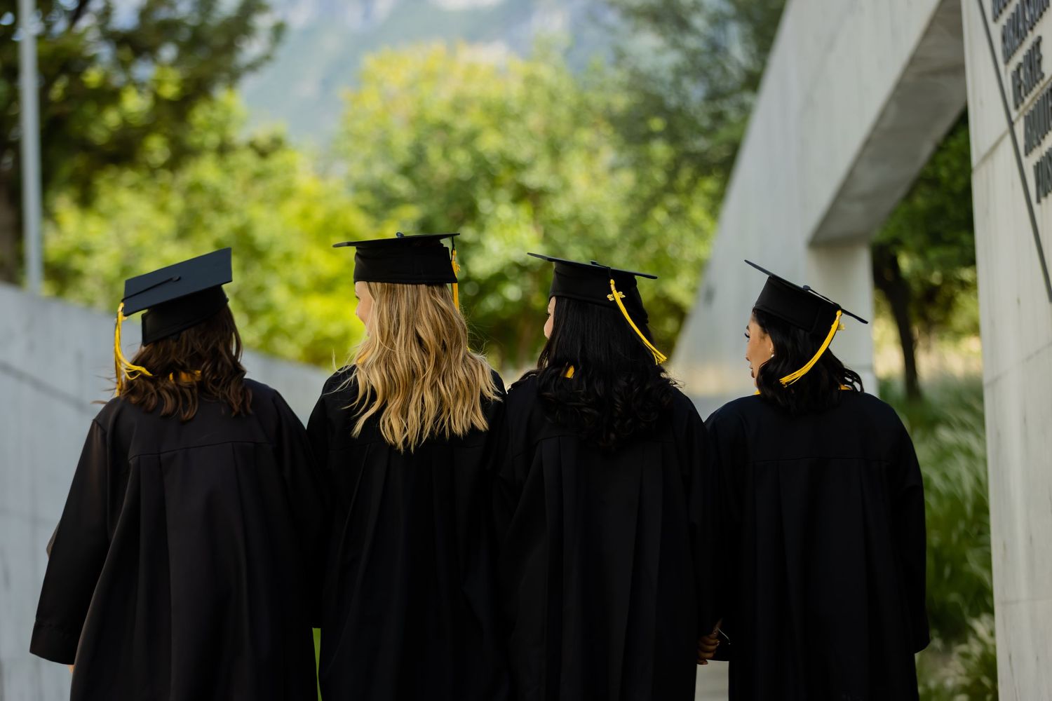 Four graduates in black caps and gowns viewed from behind at outdoor graduation ceremony.