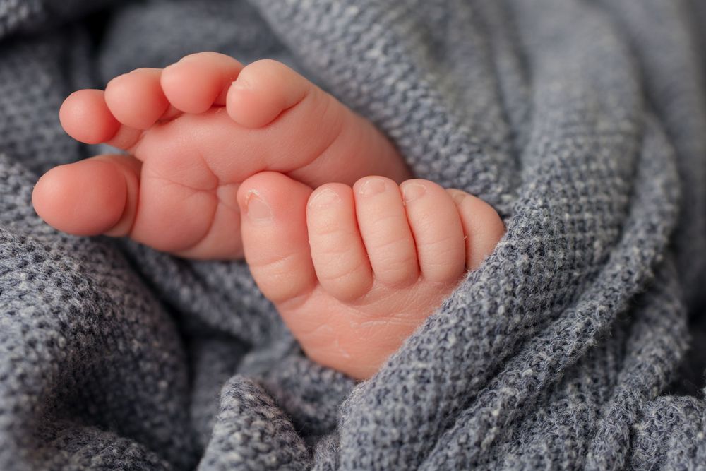 Close-up of tiny baby feet and toes wrapped in soft gray knitted blanket.