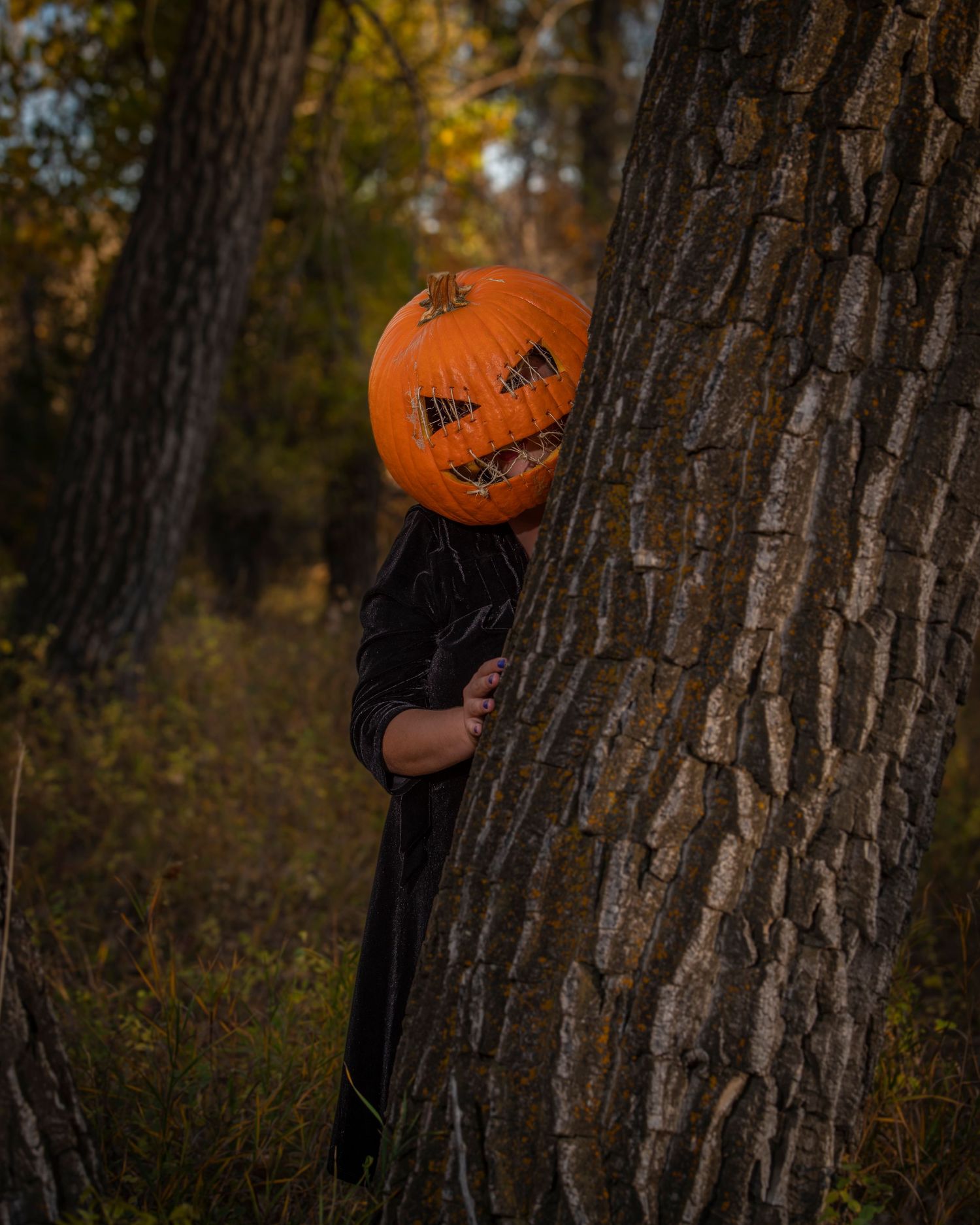 A spooky Halloween figure peeks from behind a tree trunk wearing a carved pumpkin head in an autumn forest.
