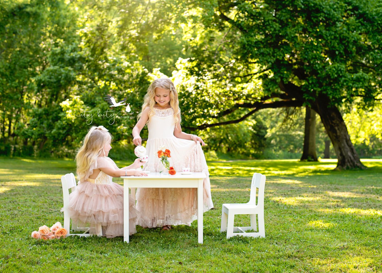 Tea Party Mini Photography Session Cleveland - Avon Ohio Photographer