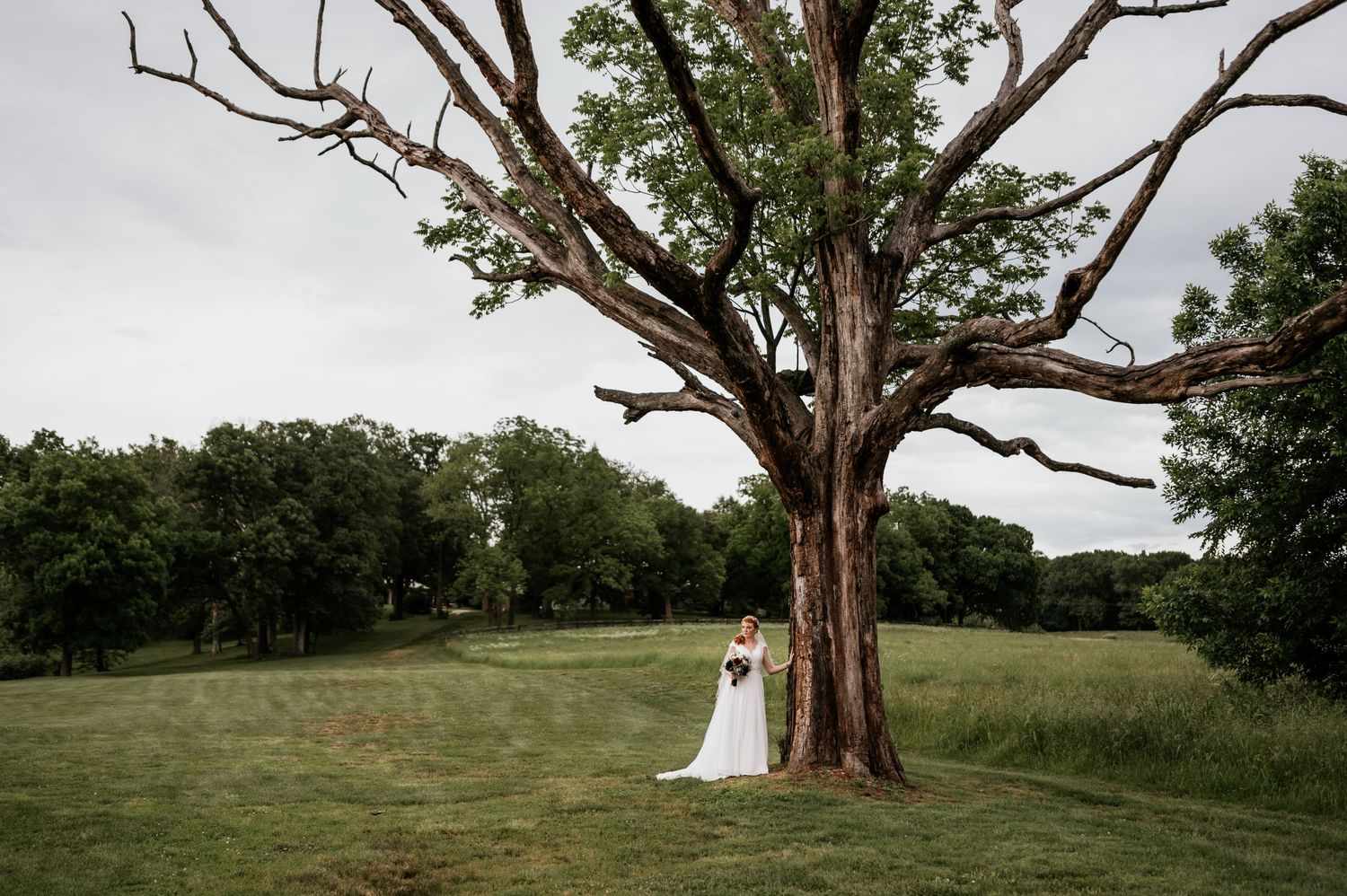 A dramatic wedding photo with couple standing beneath a large bare tree in a green field.