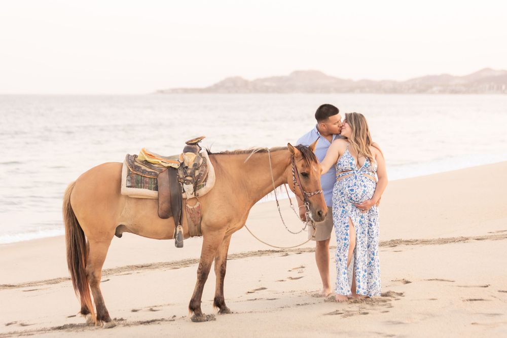 Family photo session on beach with horse at sunset.