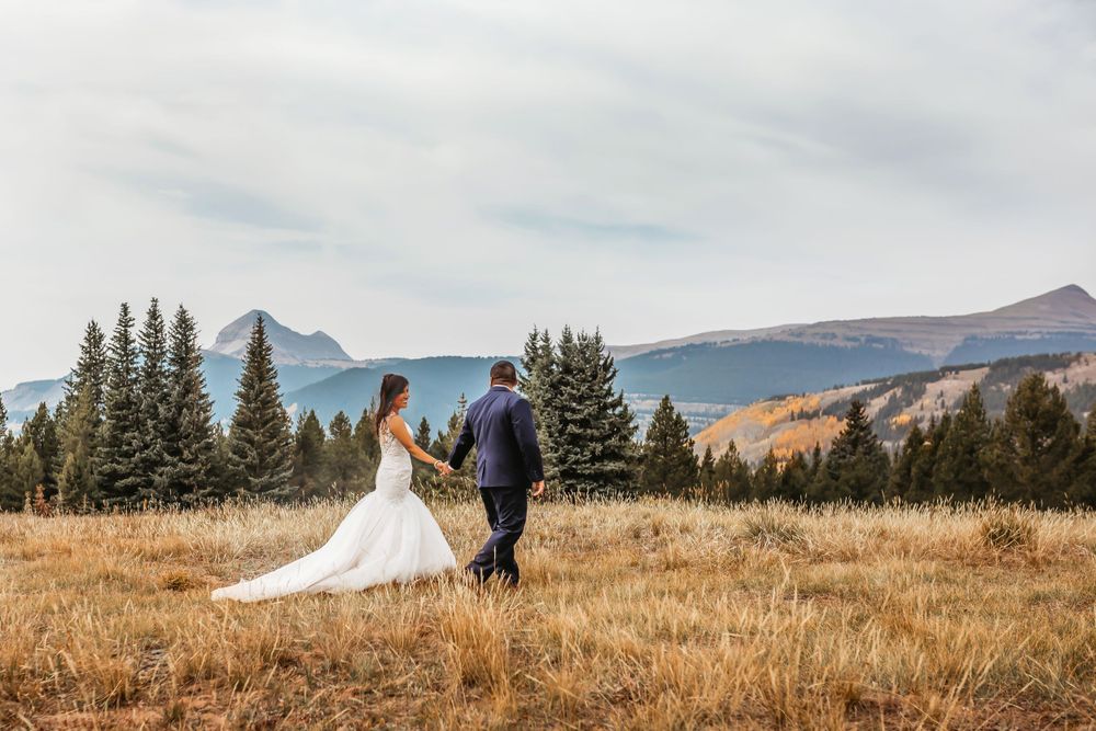 Bride and groom walking hand in hand through golden field with mountain and pine backdrop.