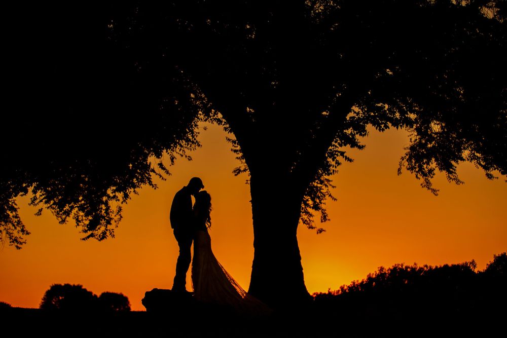 Silhouette of bride and groom sharing a kiss under a large tree at vibrant orange sunset.
