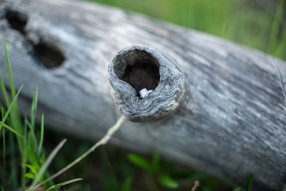 Close-up of a weathered log with a small diamond ring placed inside a natural knothole.