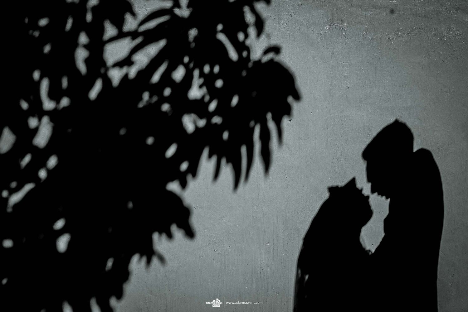 A romantic silhouette of a couple against a backdrop of tree shadows.