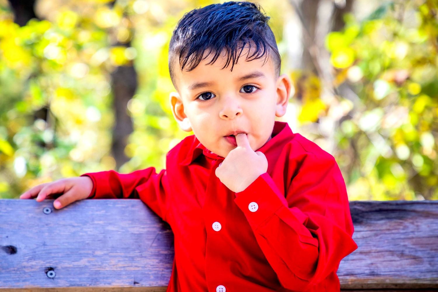 Mateo