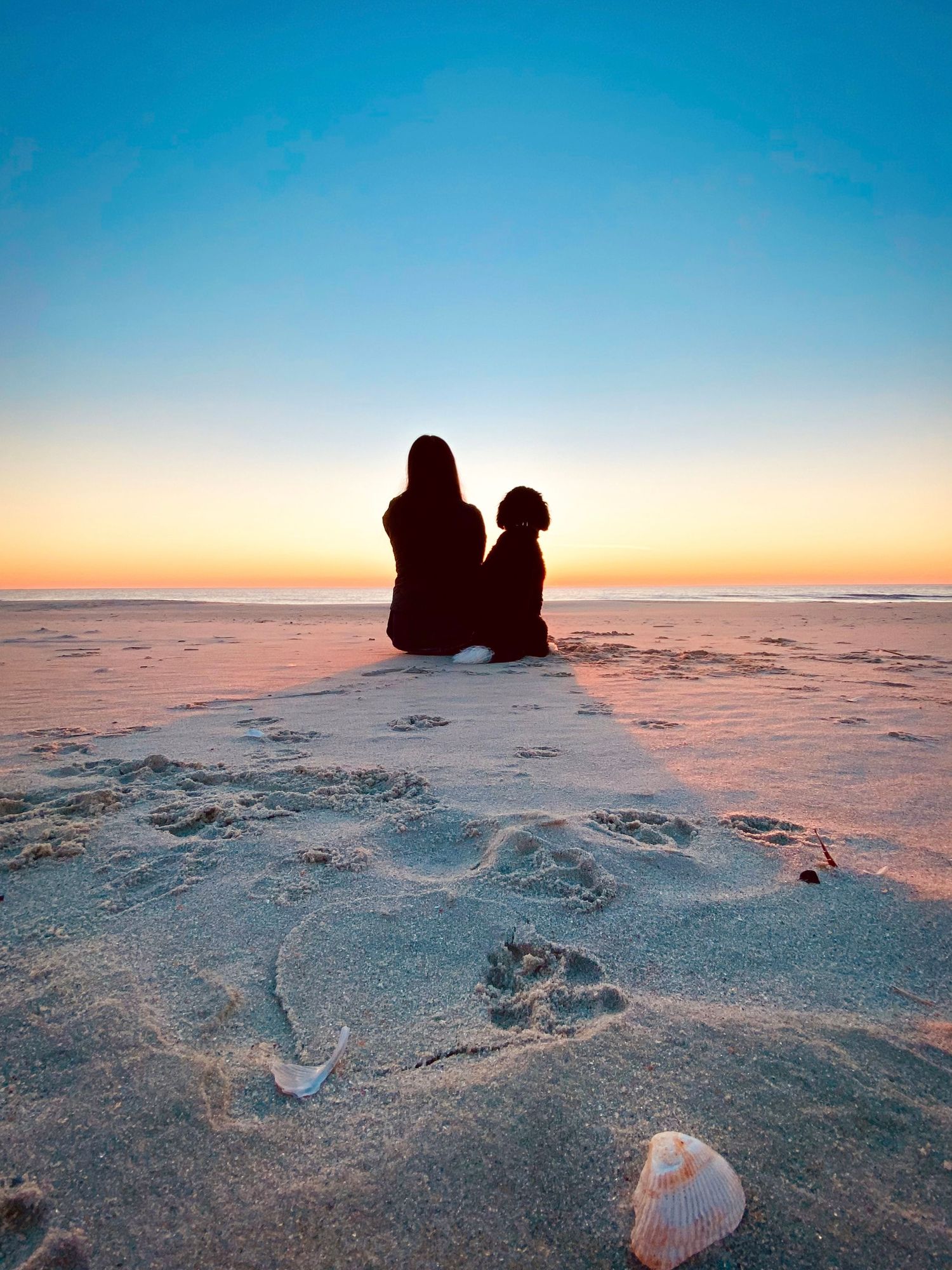 Silhouetted figures on beach during sunset with seashells scattered on sand.