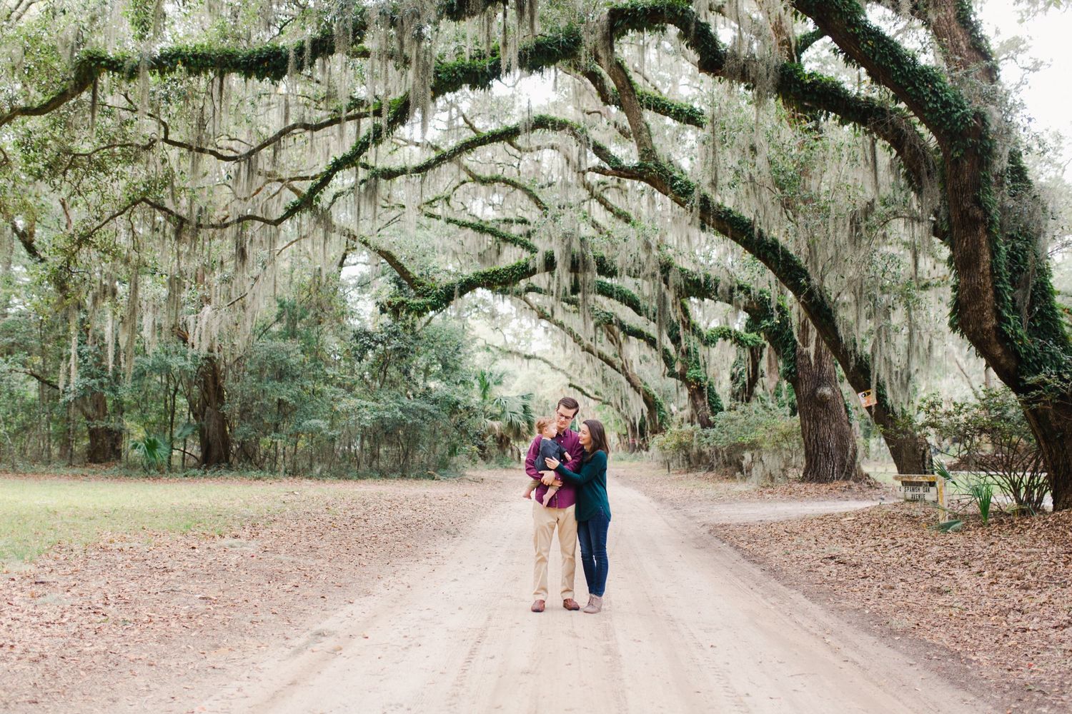 Couple stands under canopy of ancient oak trees with hanging Spanish moss in Saint Helena, SC near Coffin Point for family photos.