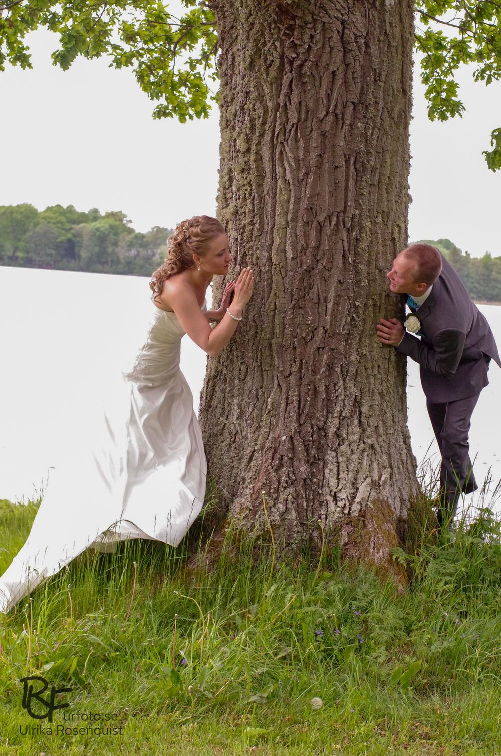 A playful wedding photo with couple on opposite sides of large tree trunk by lake.