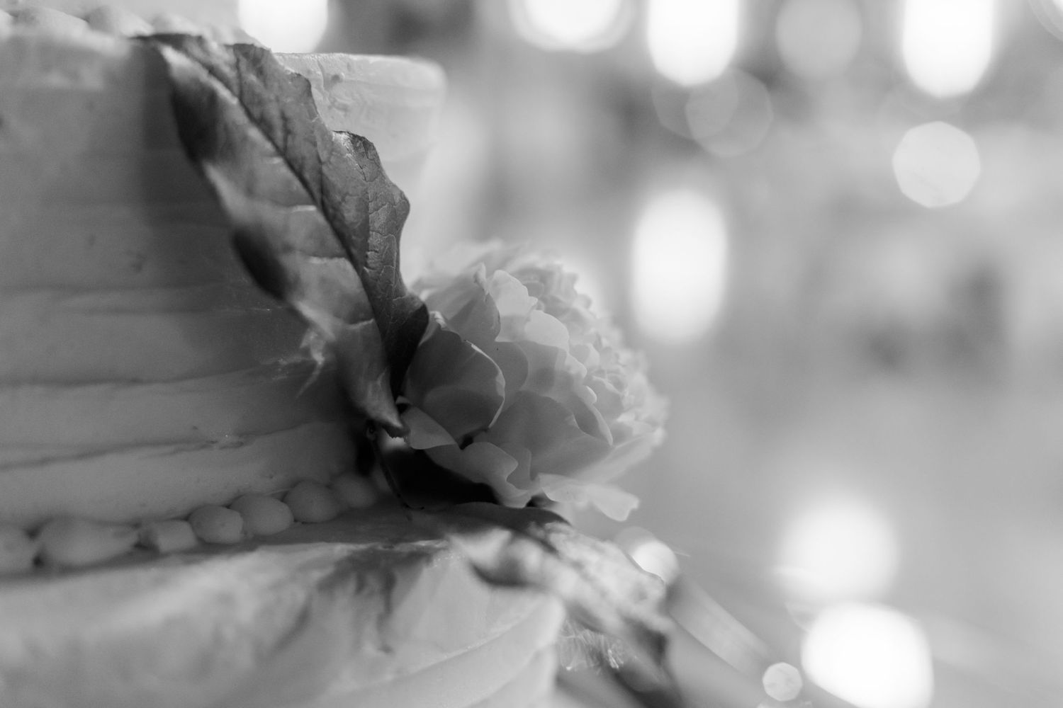 Abstract black and white bokeh background with soft blurred lights.