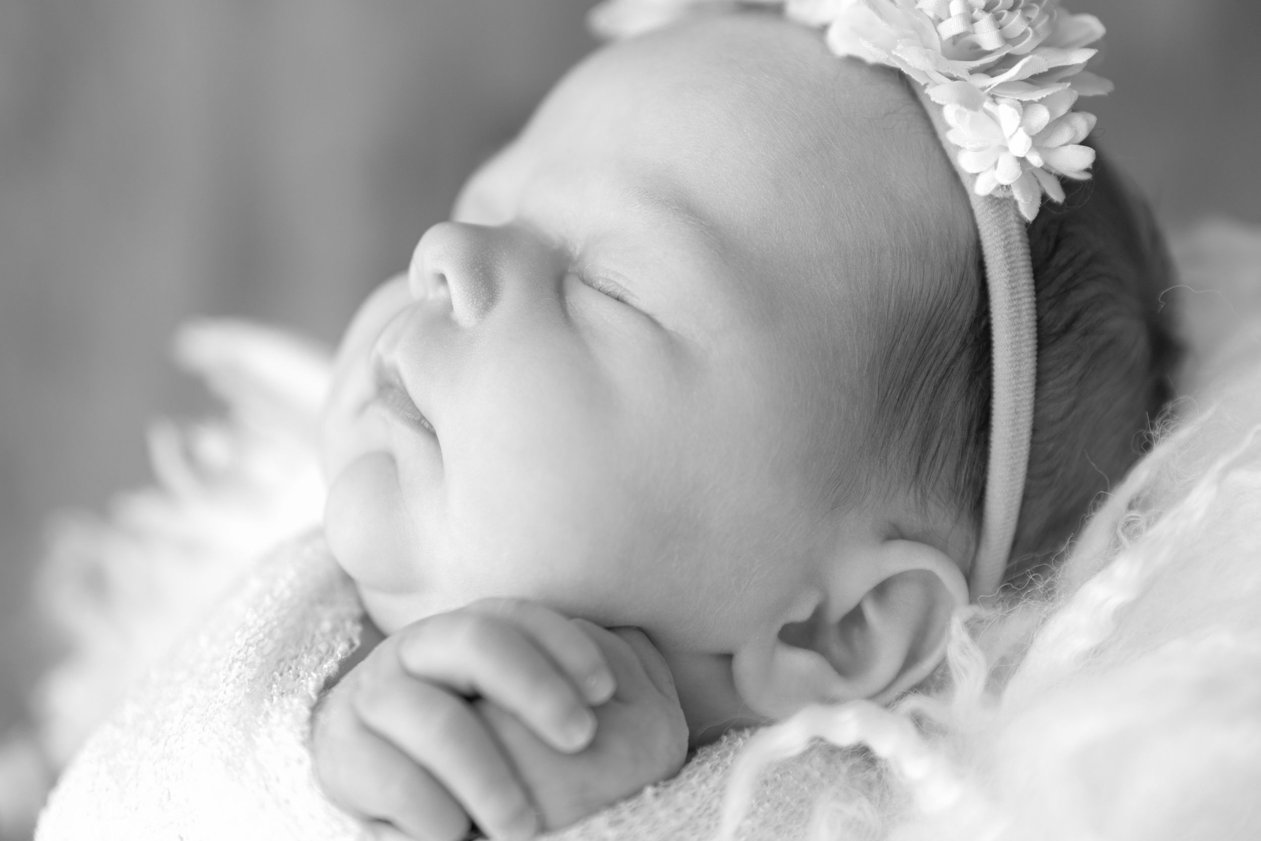 newborn photography