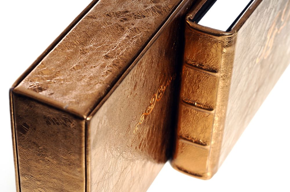 Two aged leather-bound books standing upright against a white background, showing their textured spines and covers.