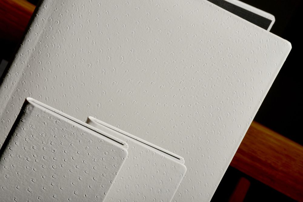 A white touchpad or mousepad on a modern device with textured surface and minimalist design.