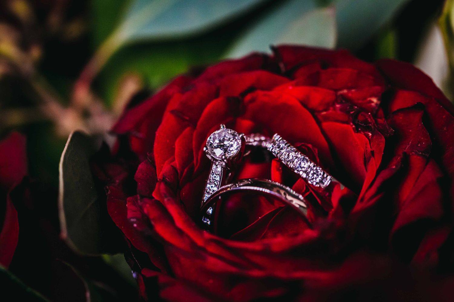 Wedding rings and red Rosses as wedding flowers, the details