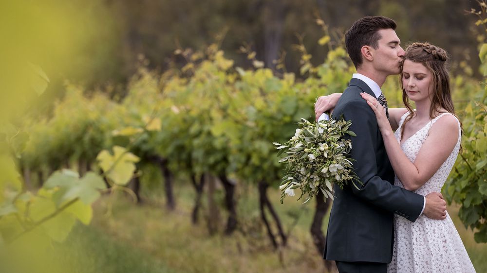 Bride and Groom sharing a moment together in the vines after their wedding ceremony at St.Leonards Vineyard