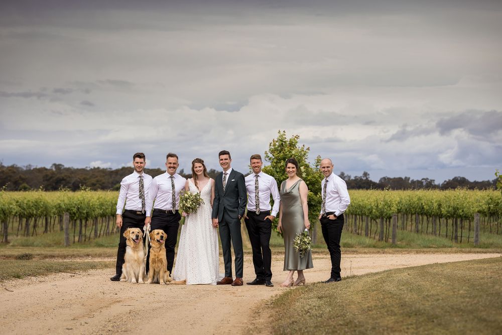 Bridal Party sharing a moment together with their Golden Retriever dogs before their wedding ceremony at St.Leonards