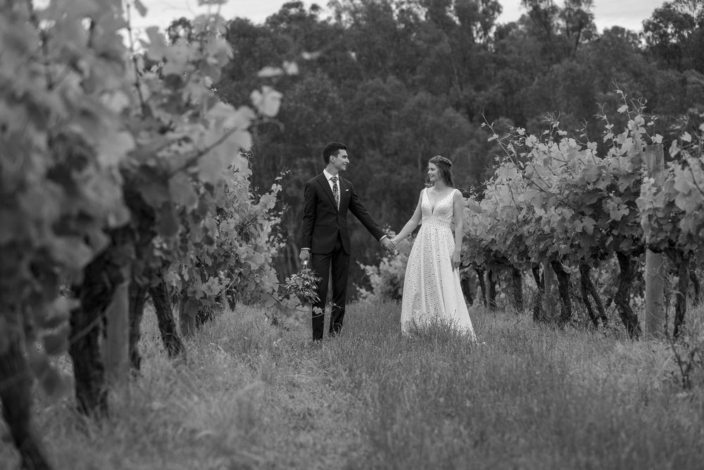 Bride and Groom sharing a moment together in the vines after their wedding ceremony at St.Leonards Vineyard