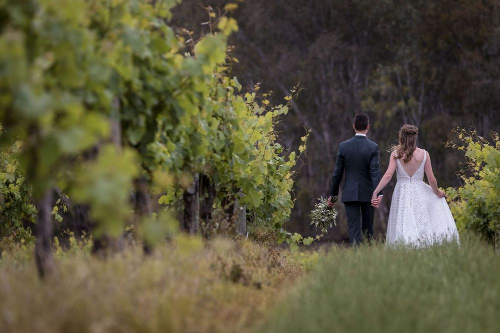 Bride and Groom sharing a moment together in the vines after their wedding ceremony at St.Leonards Vineyard