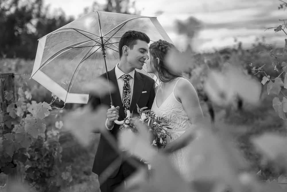 Bride and Groom sharing a moment together in the vines after their wedding ceremony at St.Leonards Vineyard
