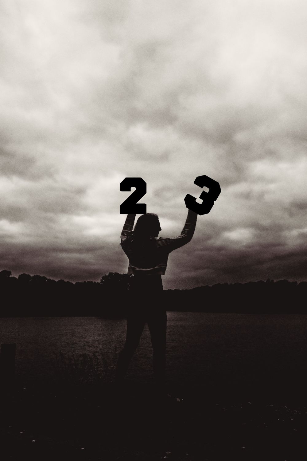 Dramatic silhouettes against moody sky at sunset.
