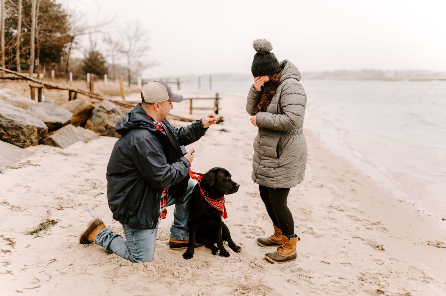People playing with dogs on a snowy winter beach.
