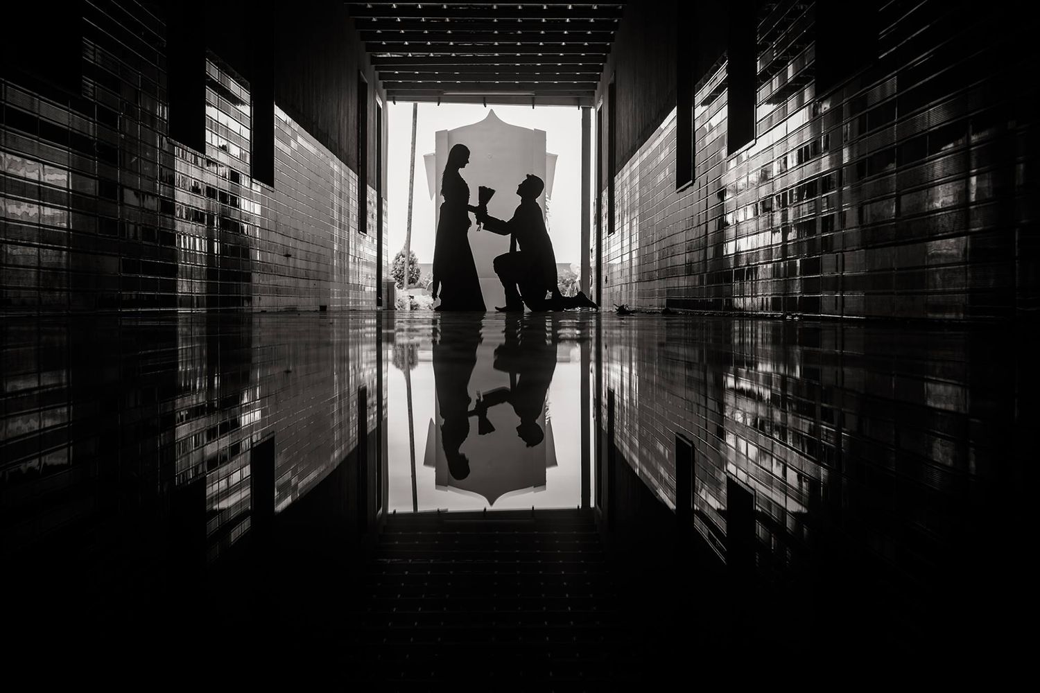 Silhouette of Indian groom kneeling to present a bouquet to his bride during their wedding couple session in Wellington, New Zealand.
