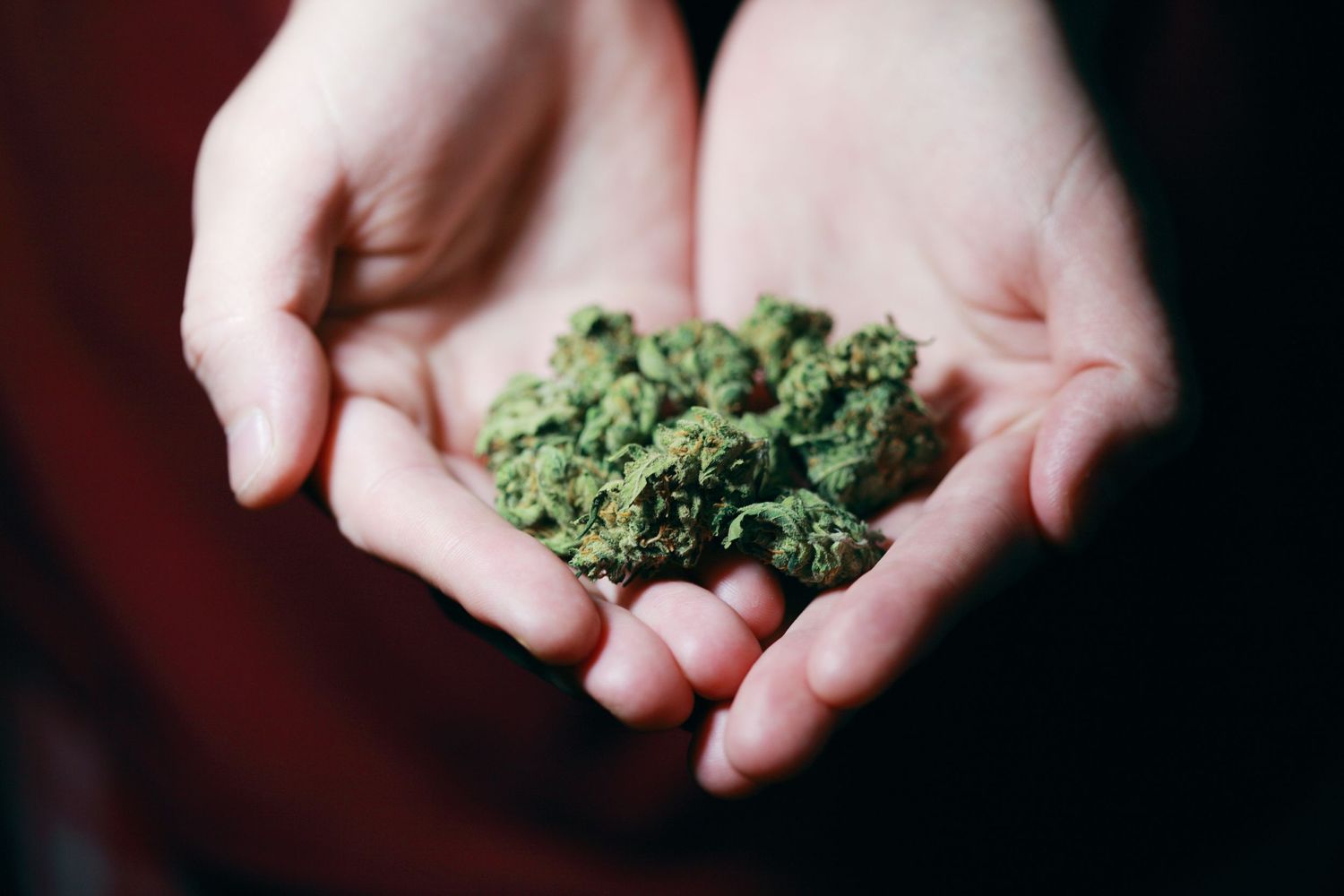 Weed
