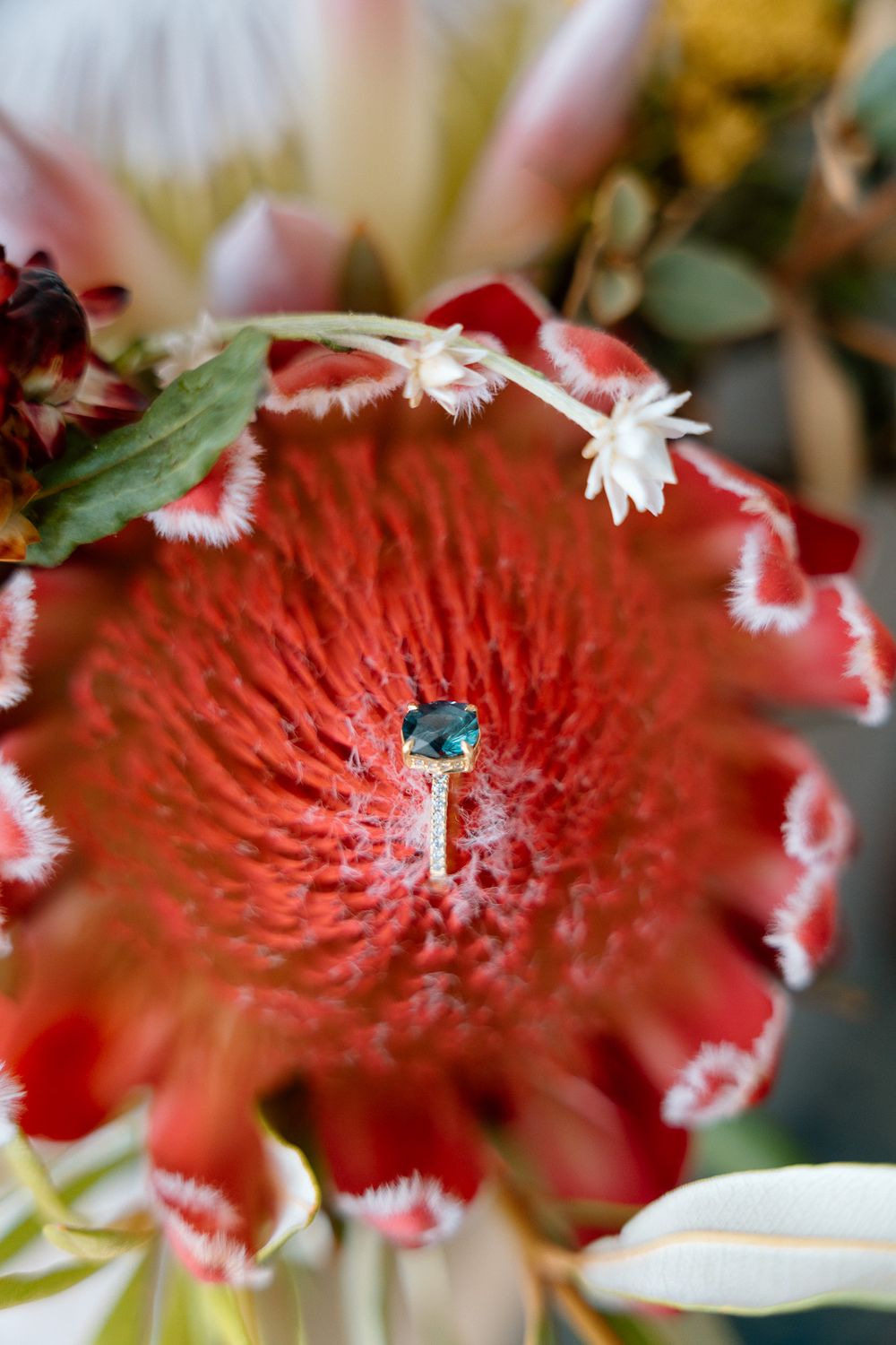 Vibrant red protea flower with delicate white details in a wedding bouquet arrangement.