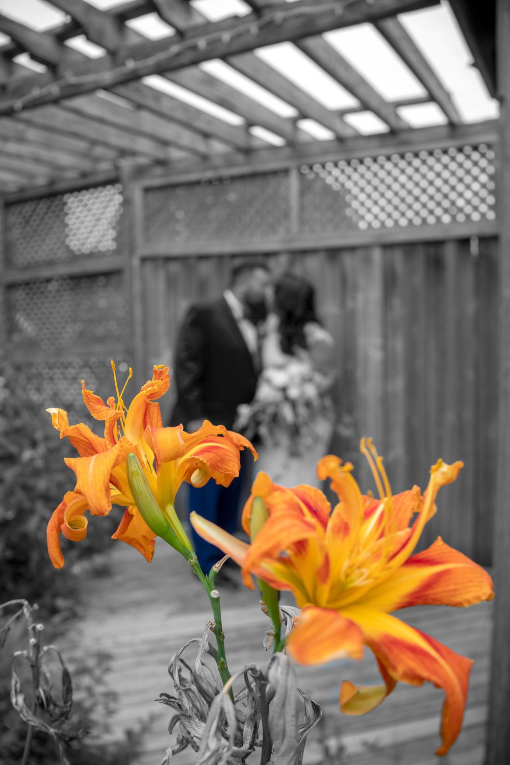 Bride and groom kissing blurred background with orange day lilies focused in the front