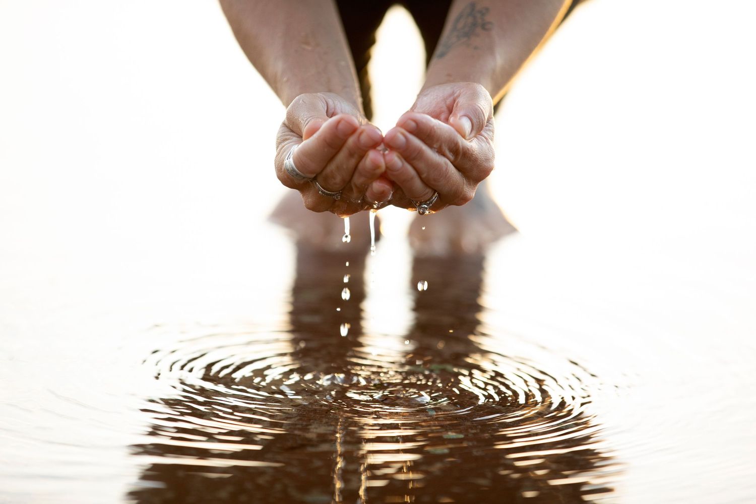 Hands cupping water with rippling reflections at sunset.