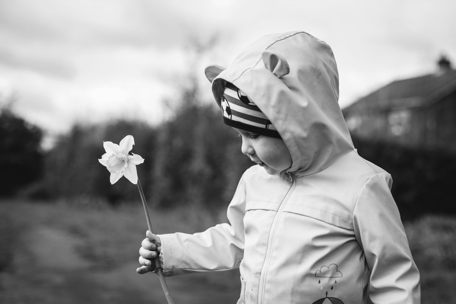 Child in white hooded jacket holding single daffodil flower.