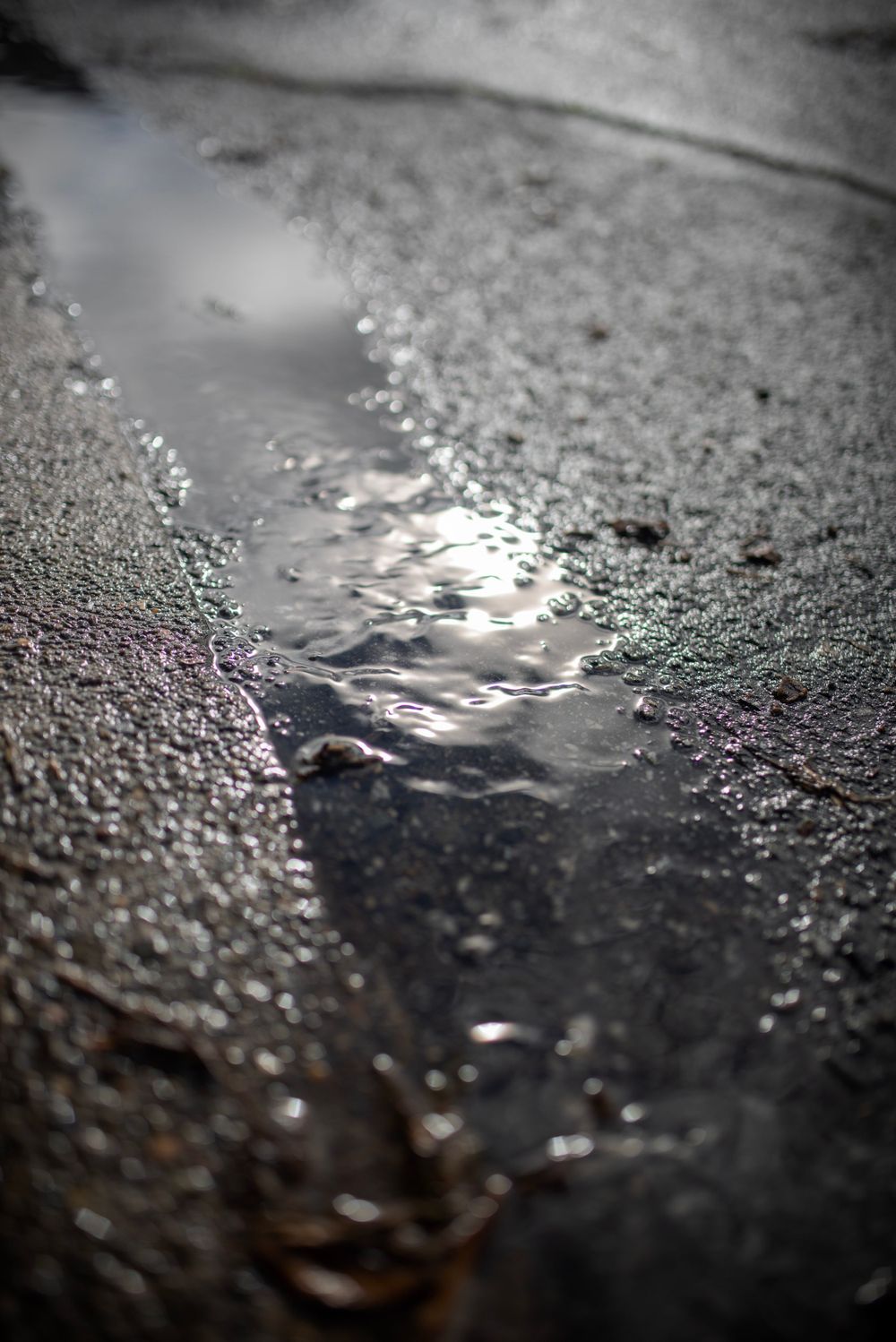 Reflective puddle on asphalt creating mirror-like surface with bokeh effects.