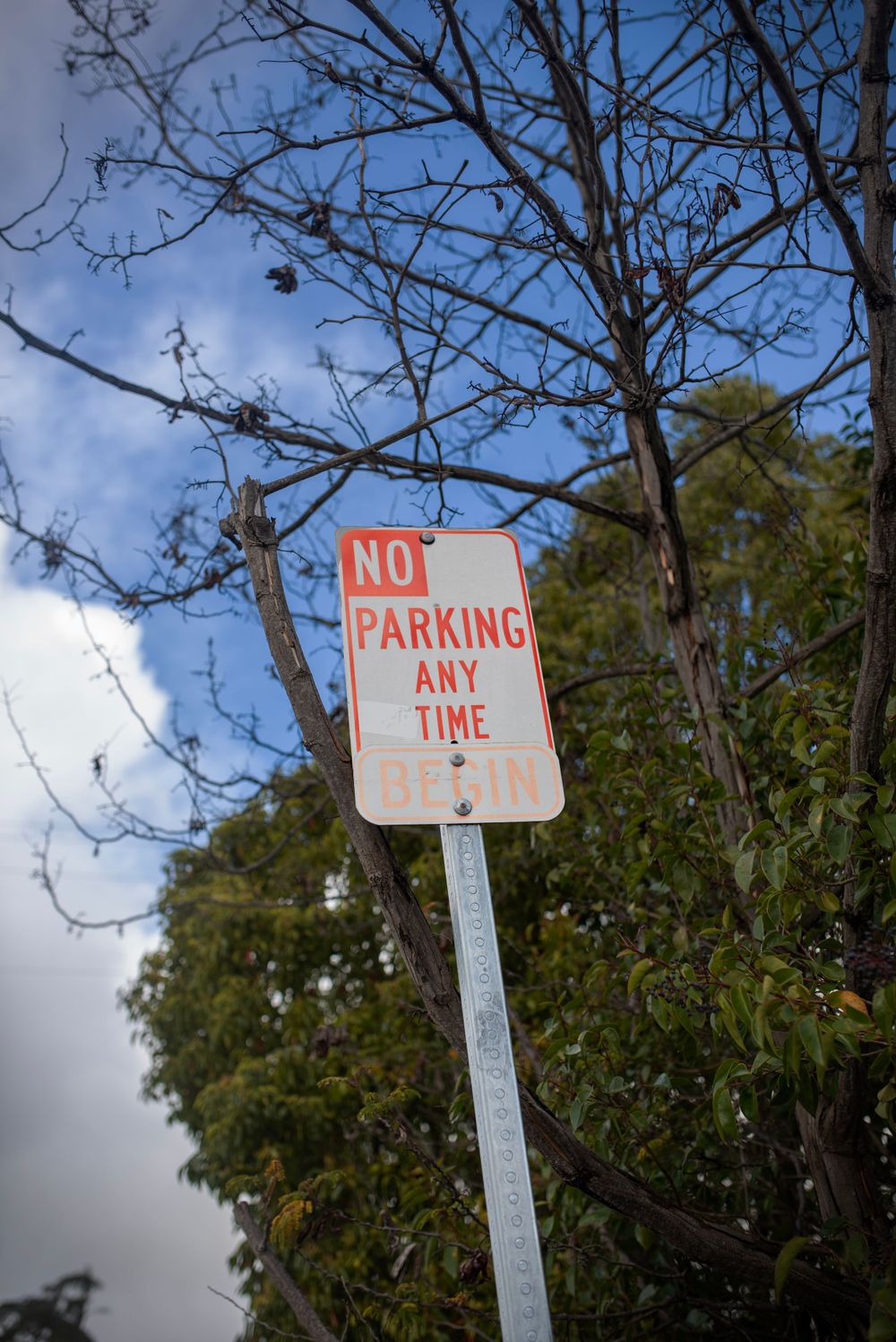 No Parking sign mounted on pole against blue sky and bare tree branches.