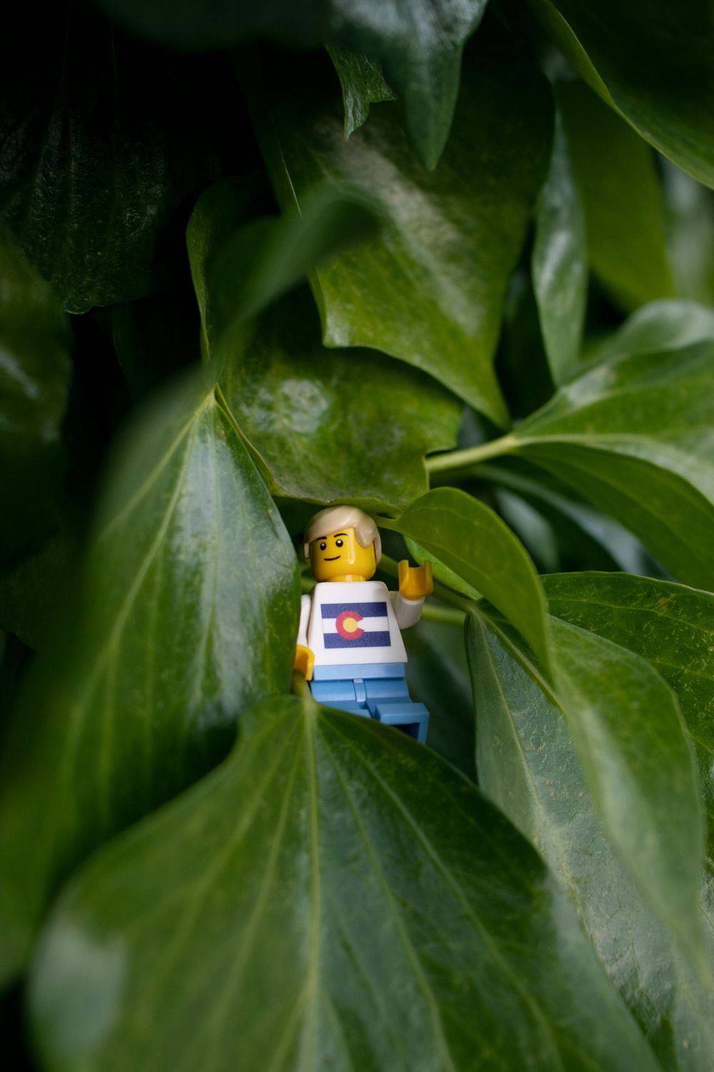 A LEGO minifigure wearing a striped shirt hidden among green leaves.