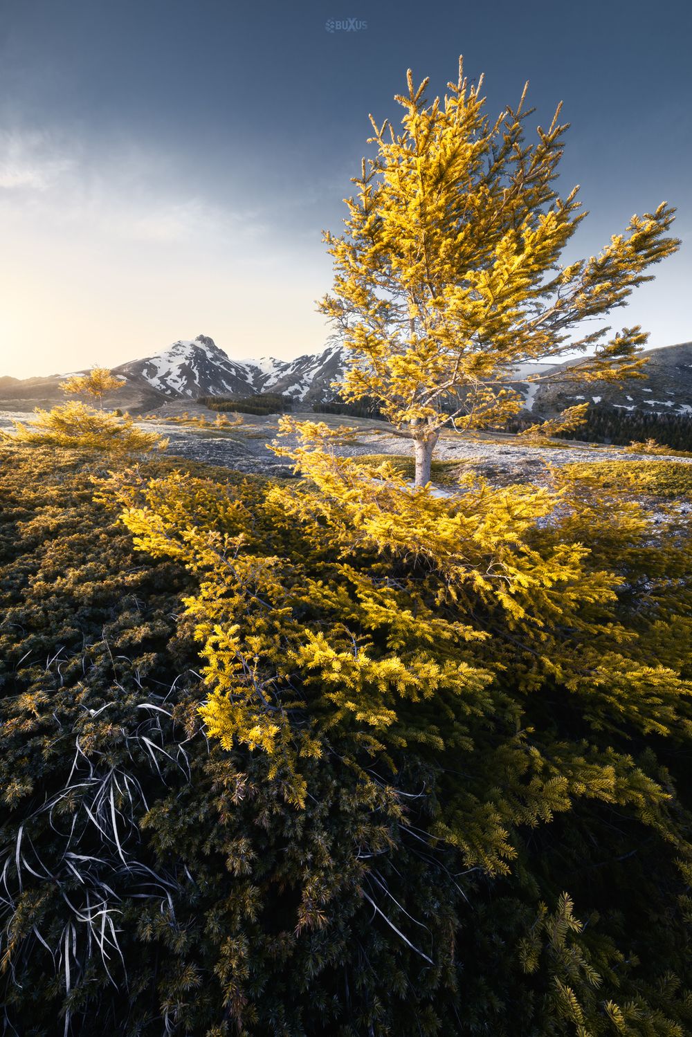 Monte Camicia Abruzzo