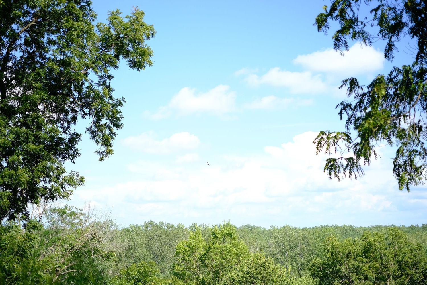 A view from the Arrow Rock Bluff area.