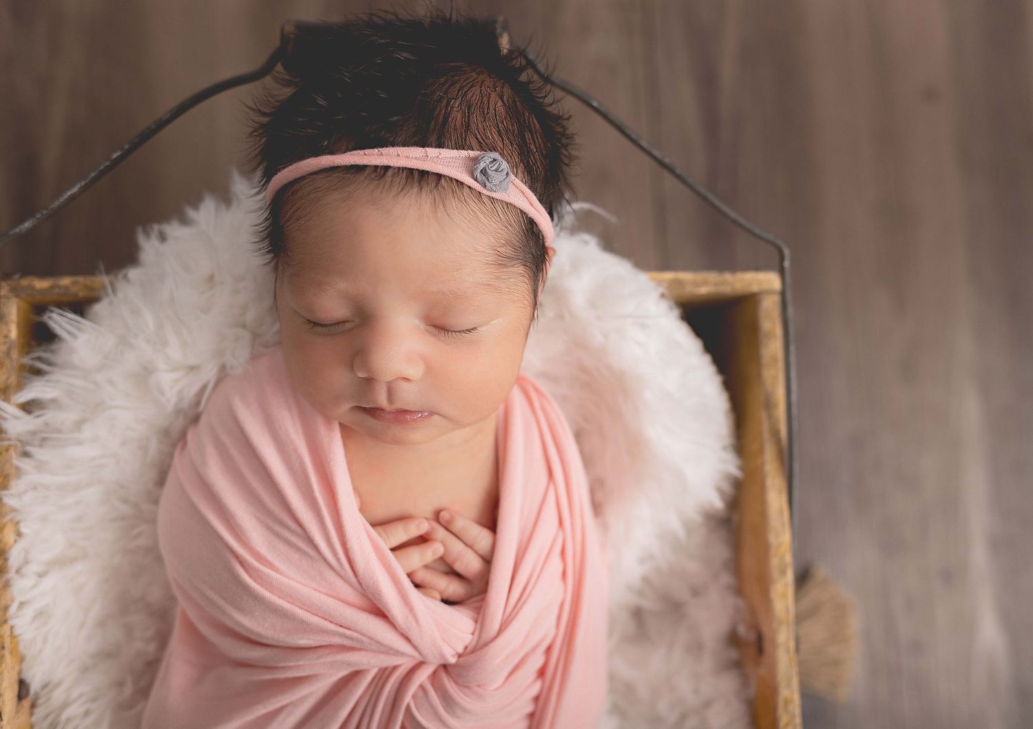 Newborn pictures Hartland, WI