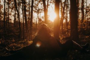 Michigan Engagement Photographer | Creative Art By Bree