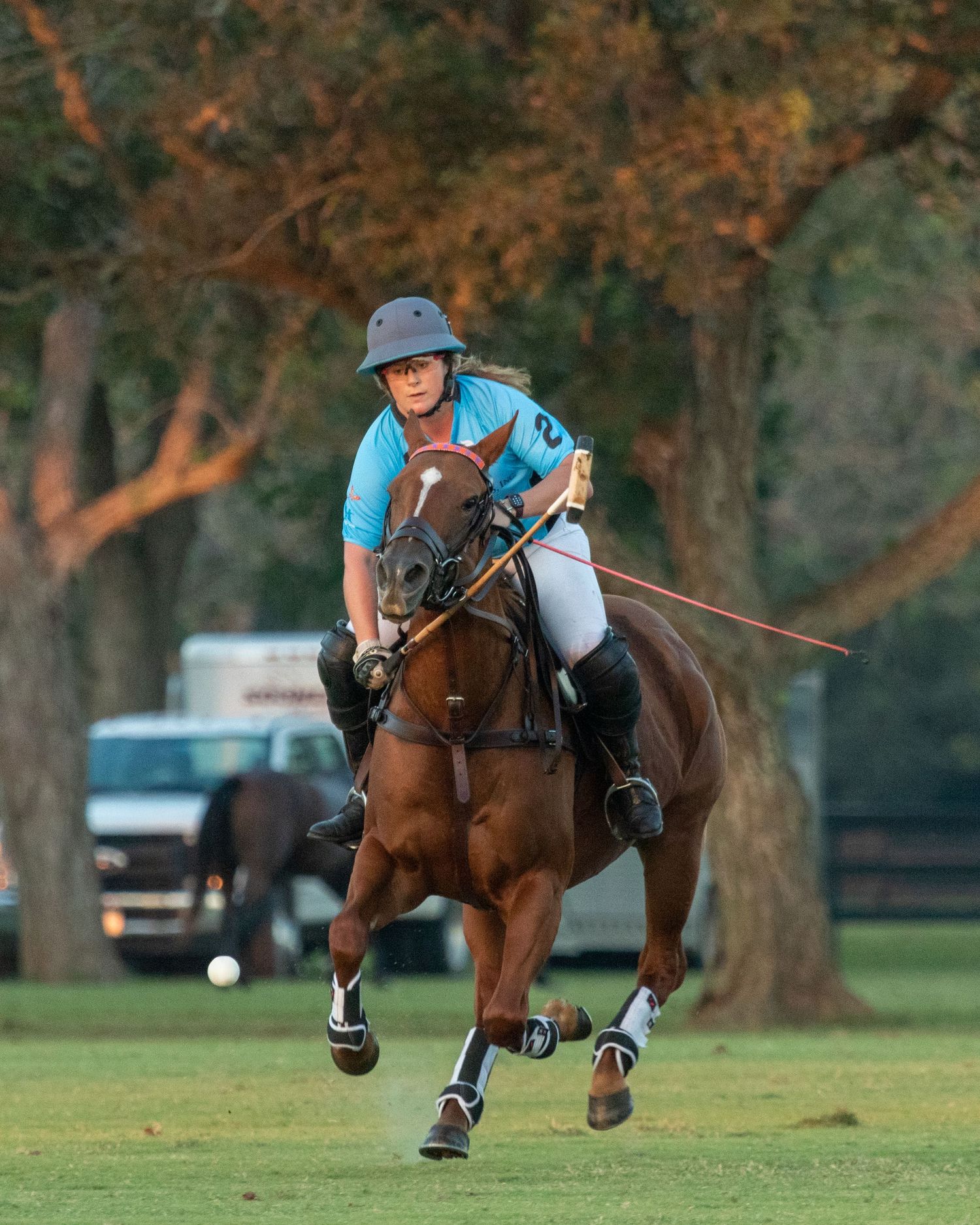 Polo