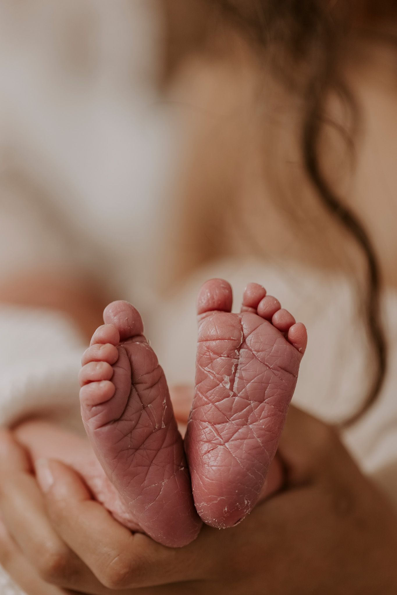 Nærbillede af en nyfødt babys små fødder i blødt, naturligt lys.