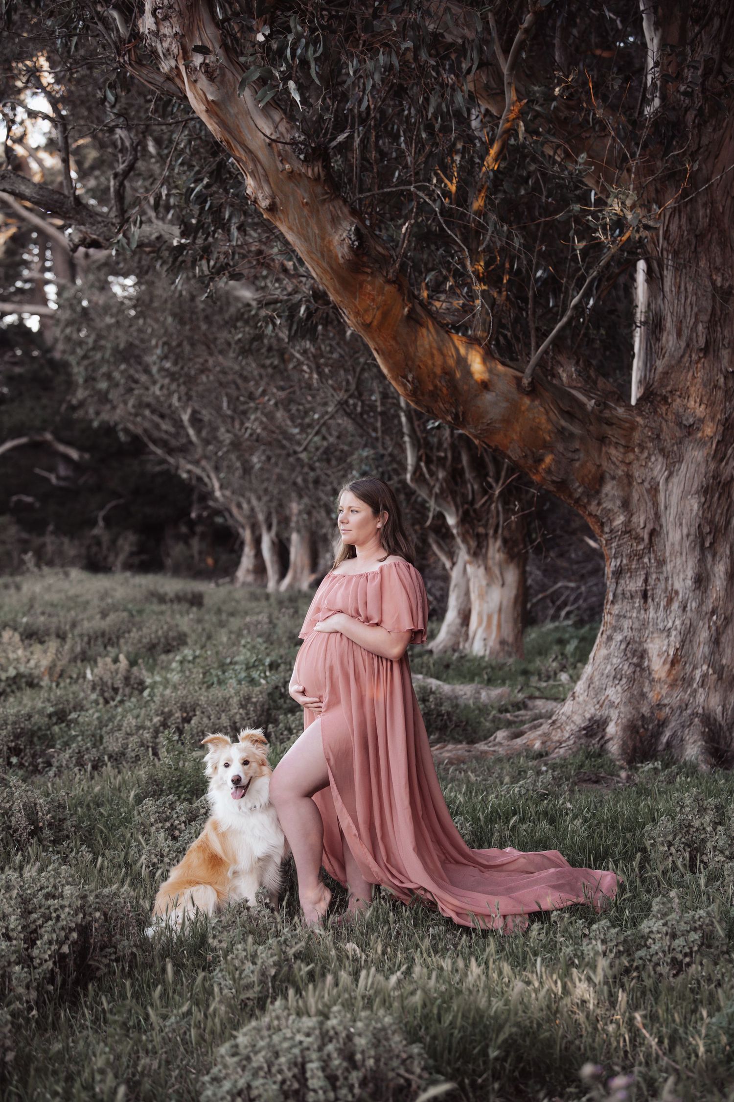 Person in pink dress with flowing train standing next to collie dog under large tree.