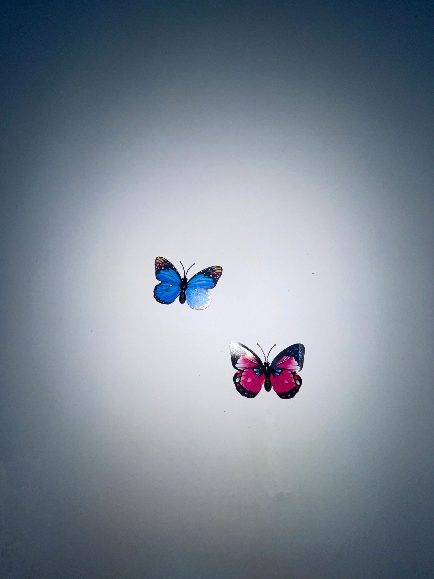 Colorful butterflies fluttering against a dark gradient background in a sequence of animation frames.