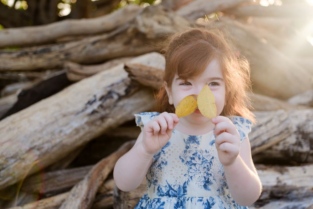 A young child in a blue dress holds a yellow flower while sitting on driftwood at the beach.
