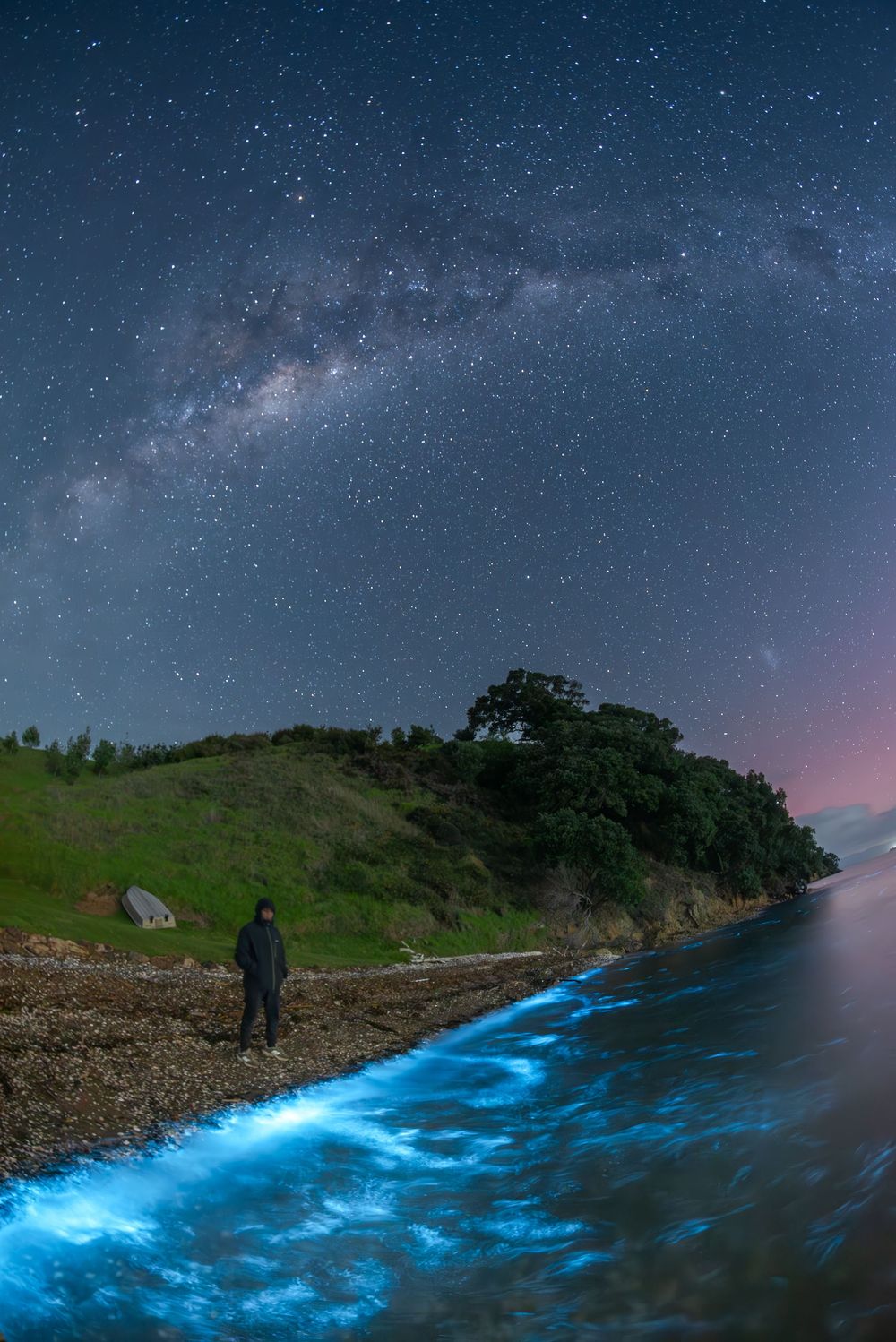 A silhouetted figure stands on a rocky shore as bioluminescent waves glow beneath the Milky Way in the night sky.