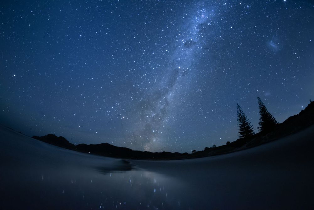 The Milky Way galaxy stretches across a dark starry night sky above silhouetted pine trees.