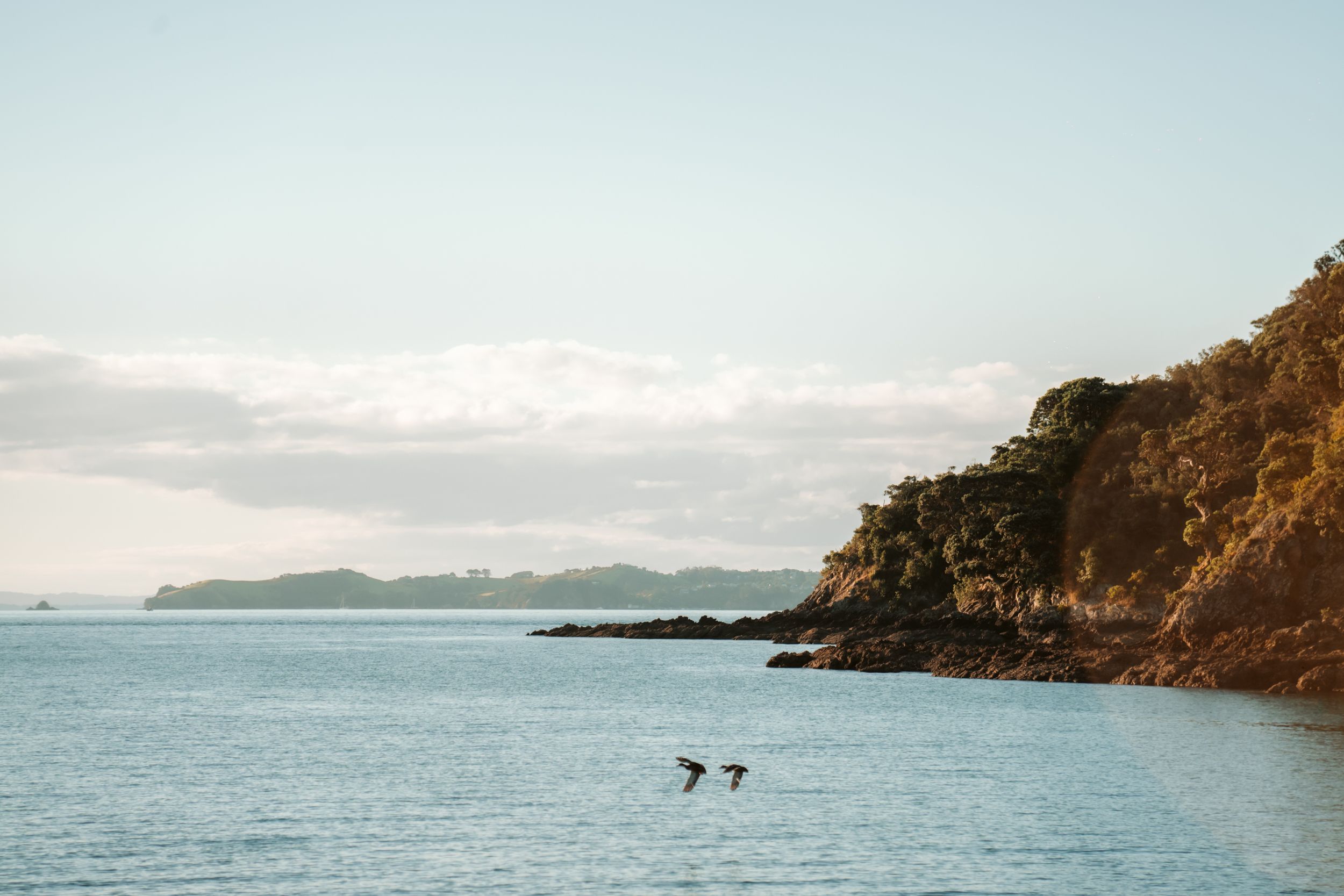 Two birds fly over calm blue ocean waters near a lush green rocky coastline with distant islands on the horizon.